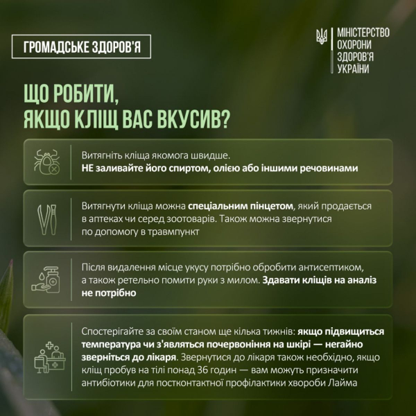 Кліщова активність: застереження від МОЗ щодо загрозливих комах 10