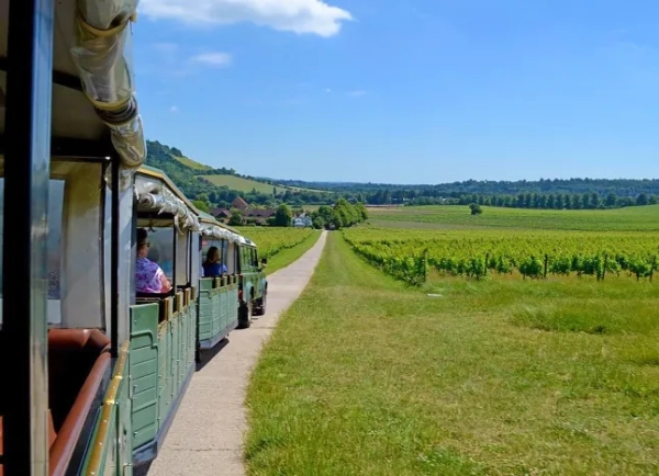 Головна 249 «Чудовий» винний поїзд за 12 фунтів стерлінгів, який знаходиться лише за годину…