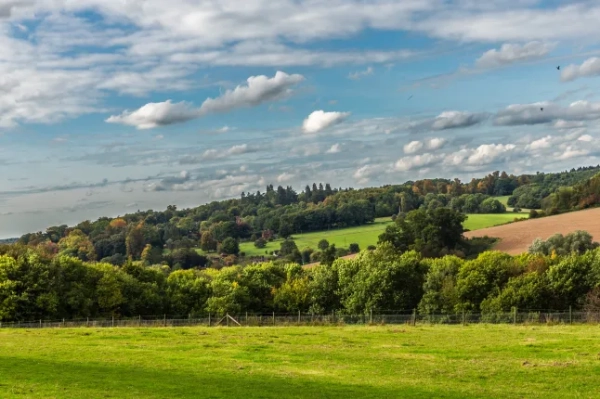 Найкращі одноденні походи в Лондоні та його околицях, які варто спробувати цими великодніми вихідними 6