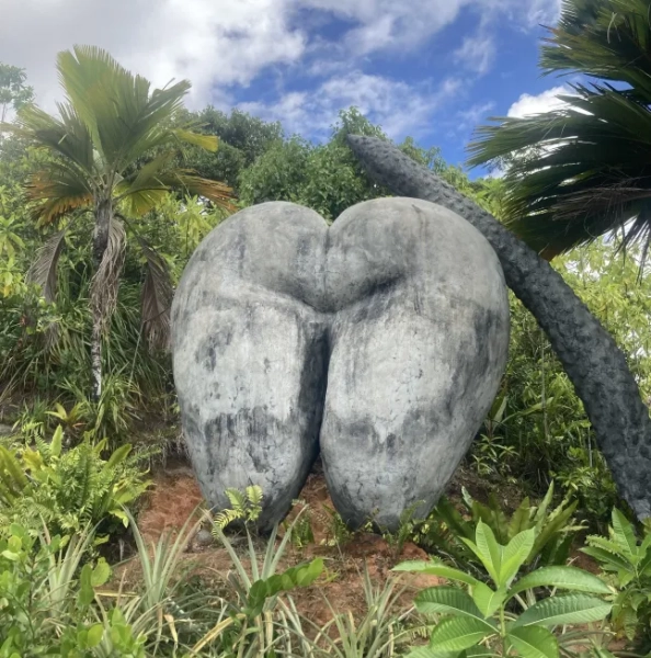 Гігантська скеля у формі жіночих сідниць у джунглях на Сейшельських островах