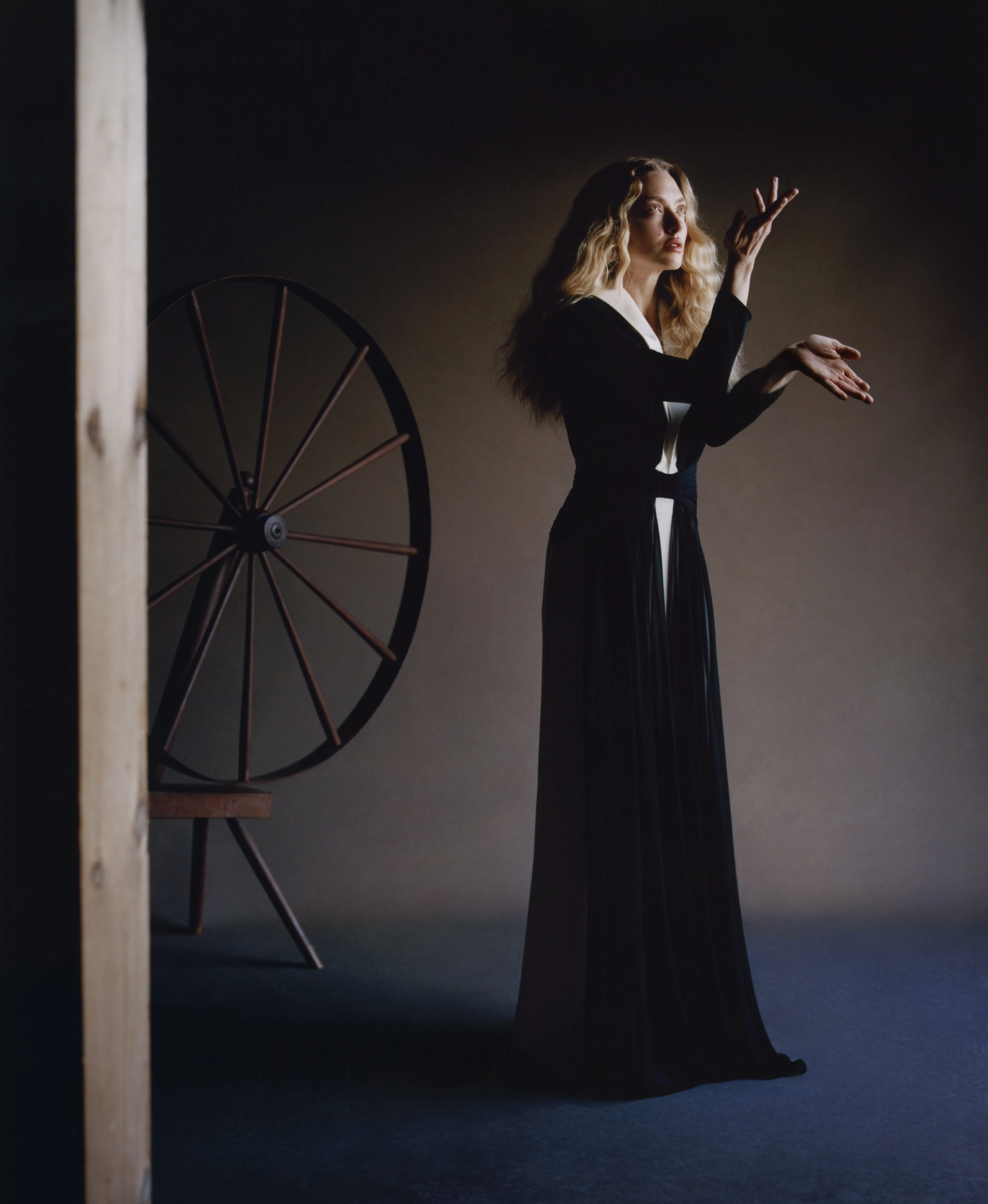 Прагнучи спокою: розмова з акторкою Амандою Сейфрід.
1