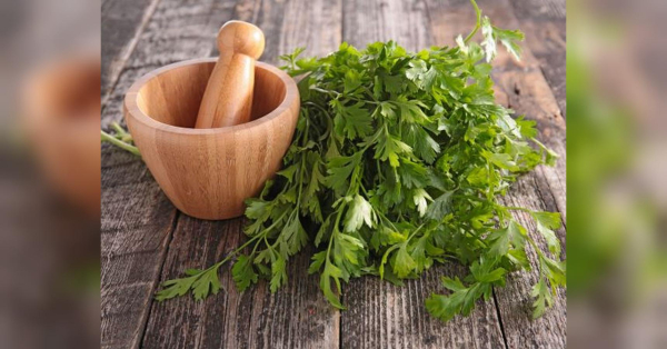 Головна 155 Від здуття та недокрів’я: рецепт чарівного напою наших прабабусь