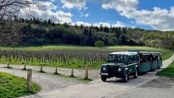 Винний потяг Denbies у дії
