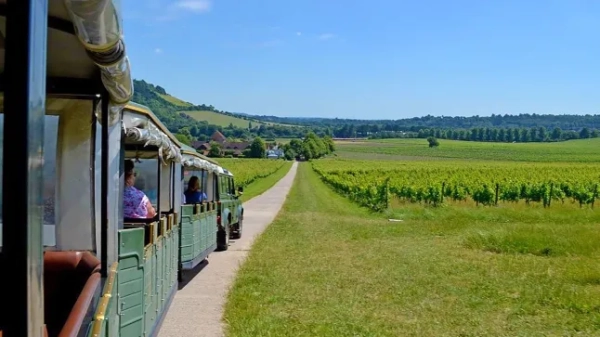 Японія незабаром підвищить ціну на свій найпопулярніший туристичний проїзний потяг. 11 Мальовничий сонячний краєвид виноградника, збоку зображення — винний туристичний поїзд Denbies, а також люди, що дивляться на поля.