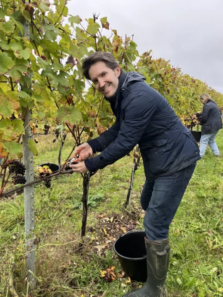 Робертсон Бакхейвен на винограднику