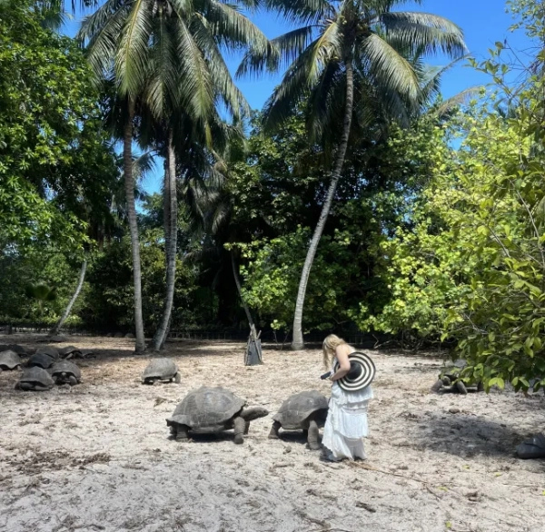 Сара Робертсон з двома гігантськими черепахами на прибережній галявині на Сейшельських островах