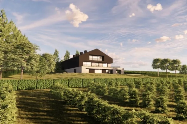 Виноробня Пінглстоун (Зображення: архітектура з пилу)