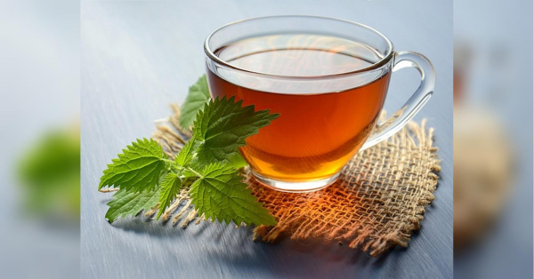 Віднайдено зелень, що оперативно нормалізує тиск: знайдеться в кожному саду