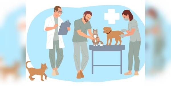 “Смертельні наслідки”: в Україні різко зростає загроза зараження сказом