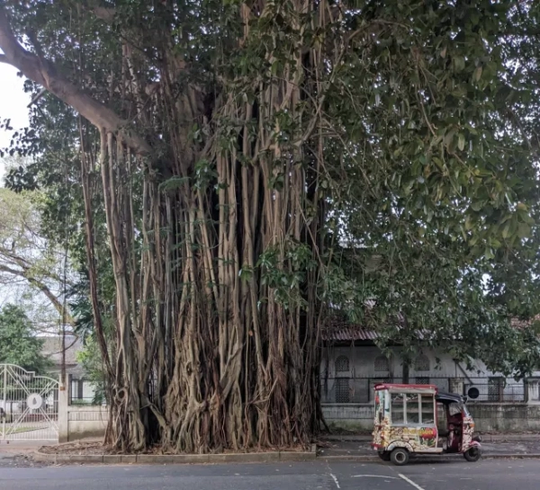Я живу в «сумнівному та брудному» місті, яке ненавидять інфлюенсери — мені ще ніколи не було веселіше. 18