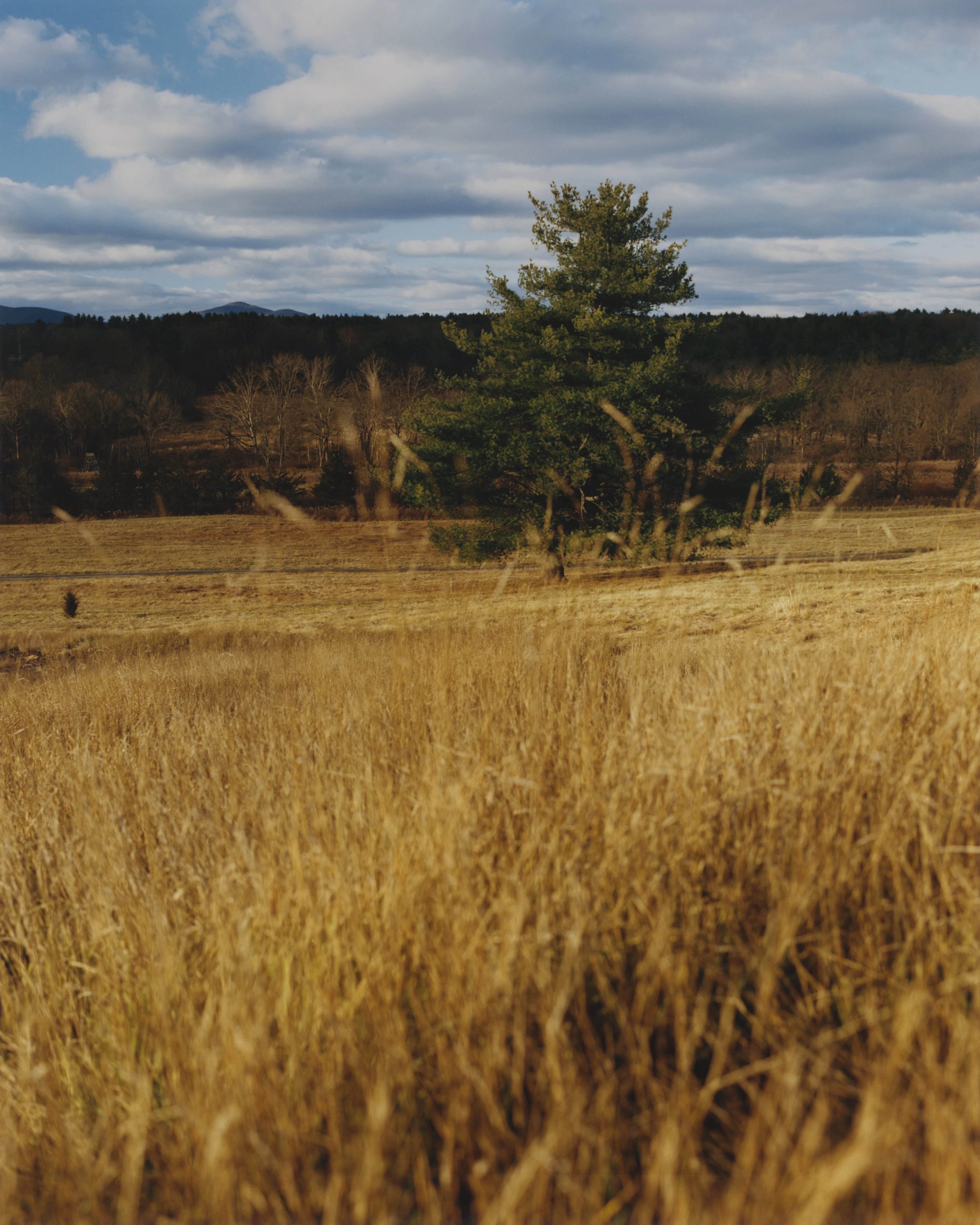 Прагнучи спокою: розмова з акторкою Амандою Сейфрід.
12