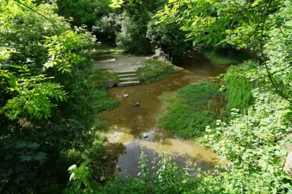 Ashwell Springs в Ashwell, Хартфордшир.