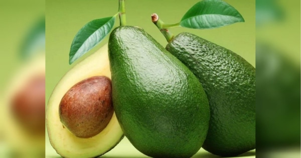 Авокадо: користь і ризики для певних людей