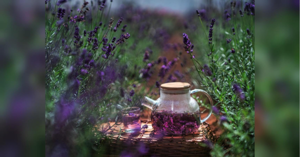 Цей напій – чудовий вибір для підтримки здорового травлення та заспокоєння нервів,&hellip;