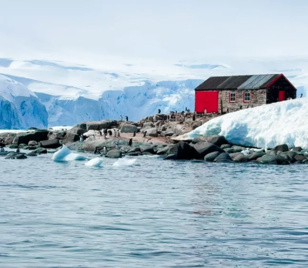 Вид на воду та берегову лінію з червоною хатиною та пінгвінами за нею в Антарктиді.