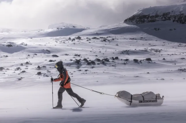 Я вирушив у полярну експедицію в дику природу — ось що я дізнався 8