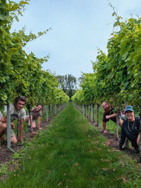 Westwell Wines (Зображення: Westwell Wines/Instagram)