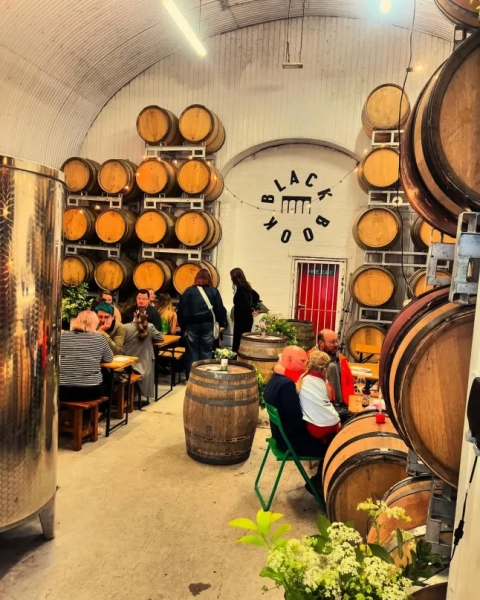 Виноробня Blackbook (Фото: Виноробня Blackbook/Instagram)