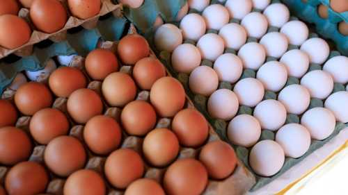 Чому бурі яйця коштують більше, і за що ви фактично переплачуєте 19