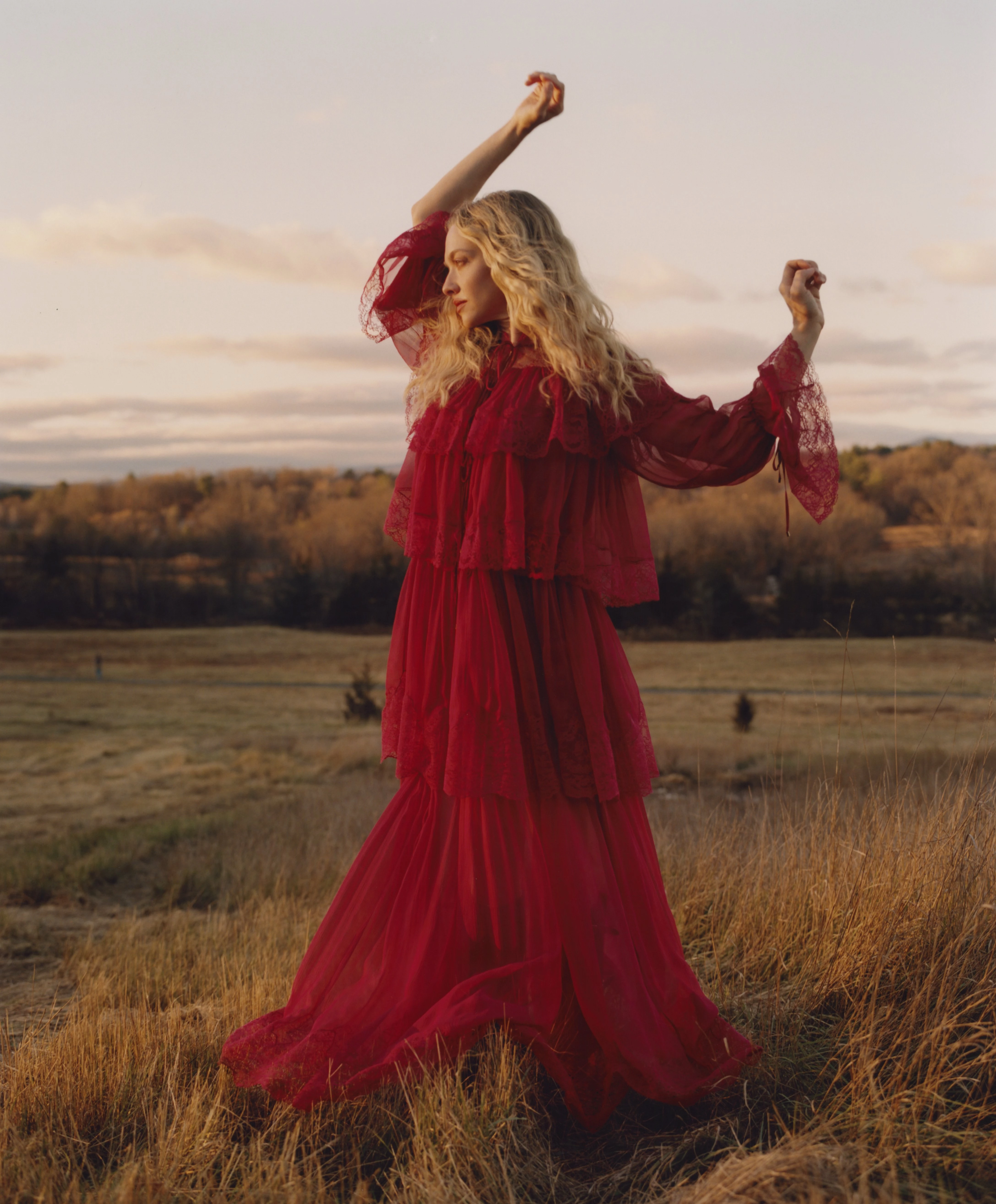 Прагнучи спокою: розмова з акторкою Амандою Сейфрід.
9