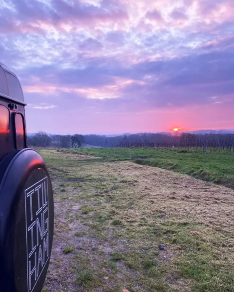 Вина Тіллінгема (Фото: Вина Тіллінгема/Instagram)