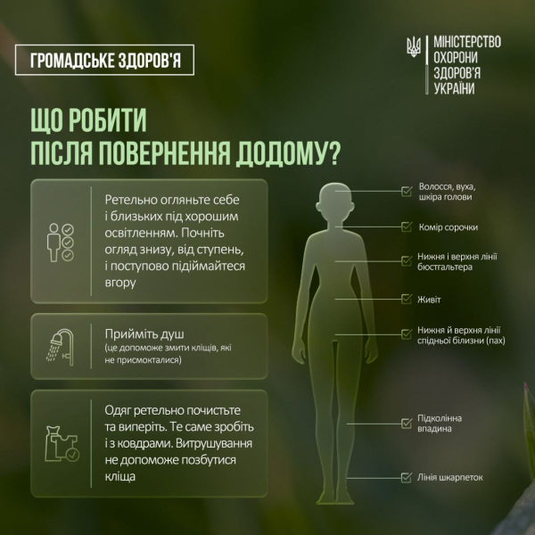 Кліщова активність: застереження від МОЗ щодо загрозливих комах 9