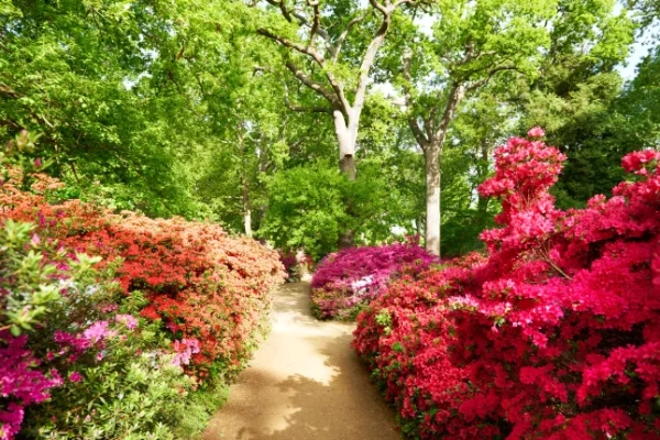 Стежка плантації Ізабелли, Річмонд-парк,