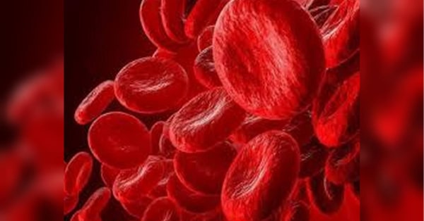 Овочі та фрукти для підвищення гемоглобіну: дієвий перелік 9