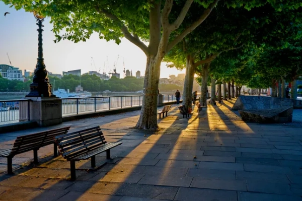 10 пропозицій Time Out London, які не можна пропустити: три страви на&hellip;