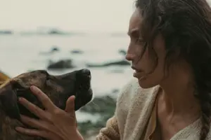 На каннському кінофестивалі вручили Palm Dog Award: нагородили собаку Yuri