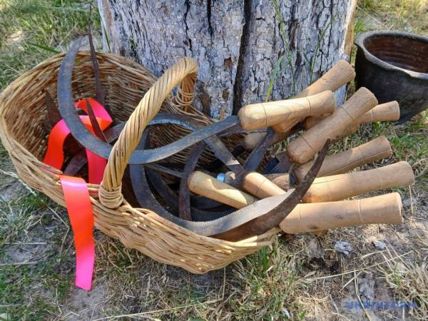«Зажинки»: перші зібрані з поля колоски відклали на різдвяний дідух 19 «Зажинки»: перші зібрані з поля колоски відклали на різдвяний дідух 19