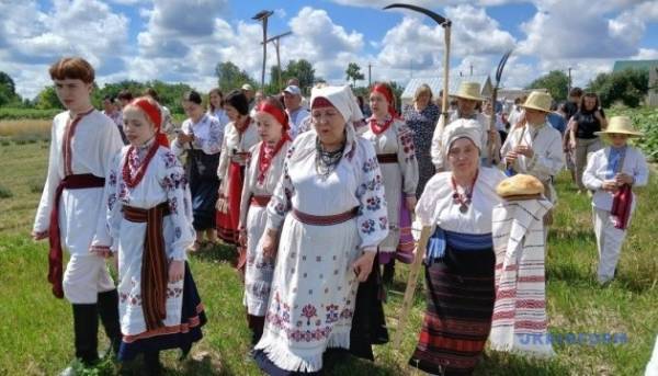 «Зажинки»: перші зібрані з поля колоски відклали на різдвяний дідух