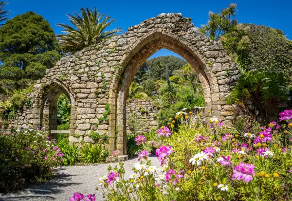 Pink and white flowers fill a corner of this image, framing the two ruined arches of the old Abbey on Tresco, Isles of Scilly. Tropical palm trees and other lush plants surround the ruins.; Shutterstock ID 1422720926; purchase_order: -; job: -; client: -; other: -
