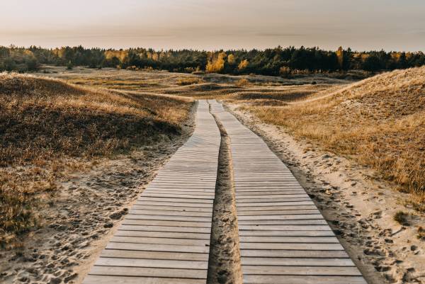Sand dunes at the Nagliai Nature Reserve in Lithuania, captured at dusk