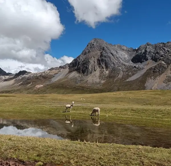We gave up everything to ‘bikepack’ South America — here's our honest verdict 16