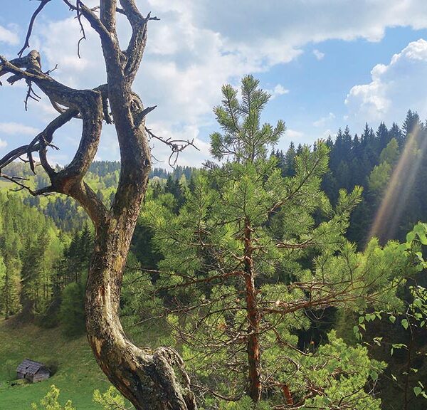 Магія писанок: мистецтво, що оживає в Україні