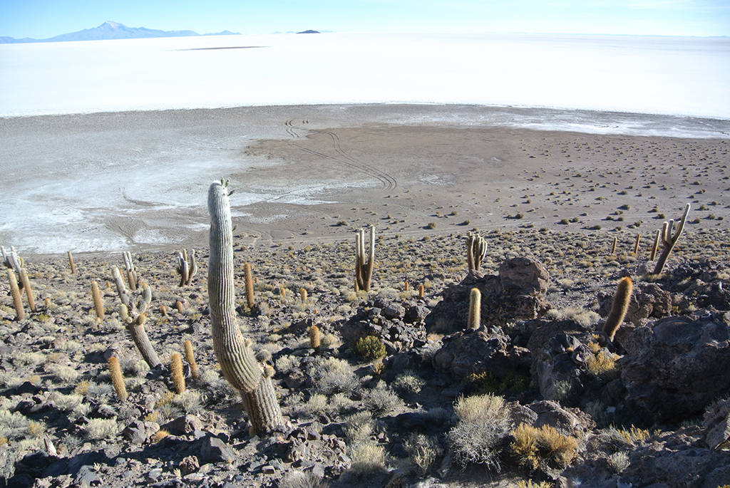 Солончак Уюні: побачити кривизну Землі 27 Solar de Uyuni: тут видно кривизну планети | Mandry11