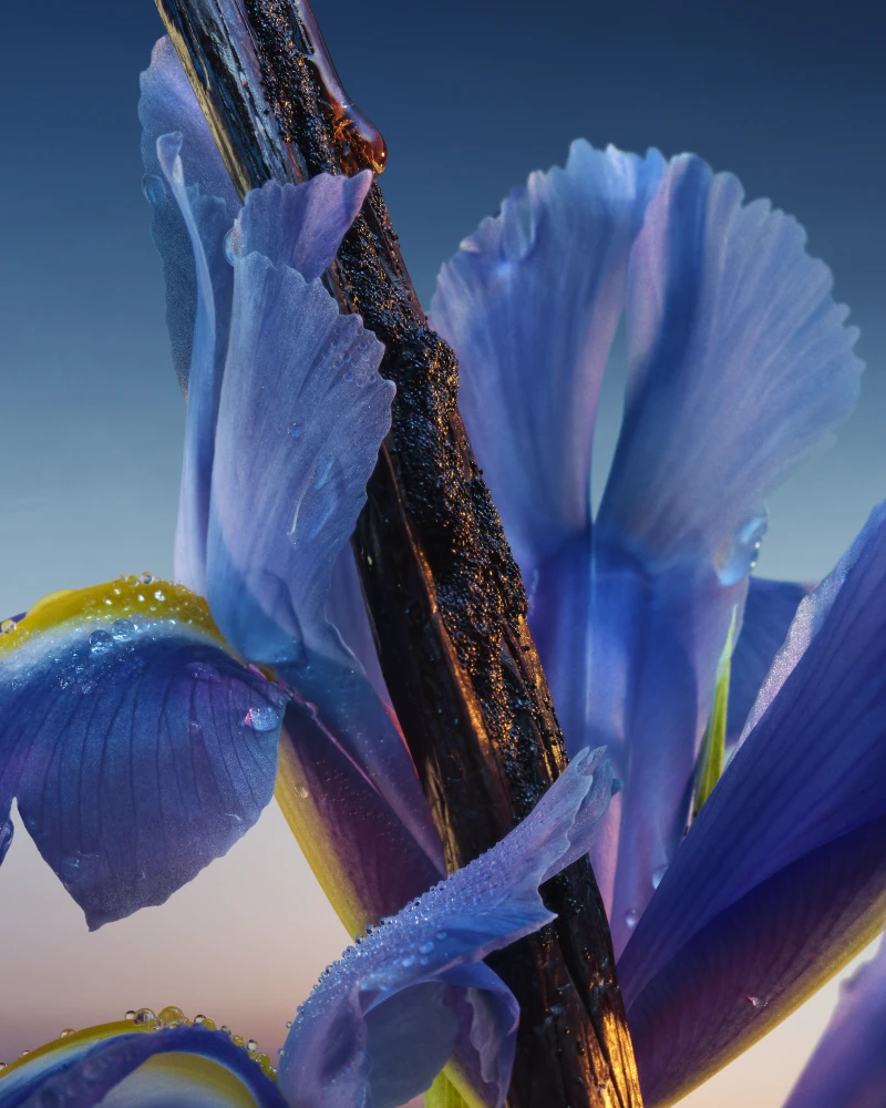Магія blue hour: новий аромат L’Heure Bleue від Guerlain8