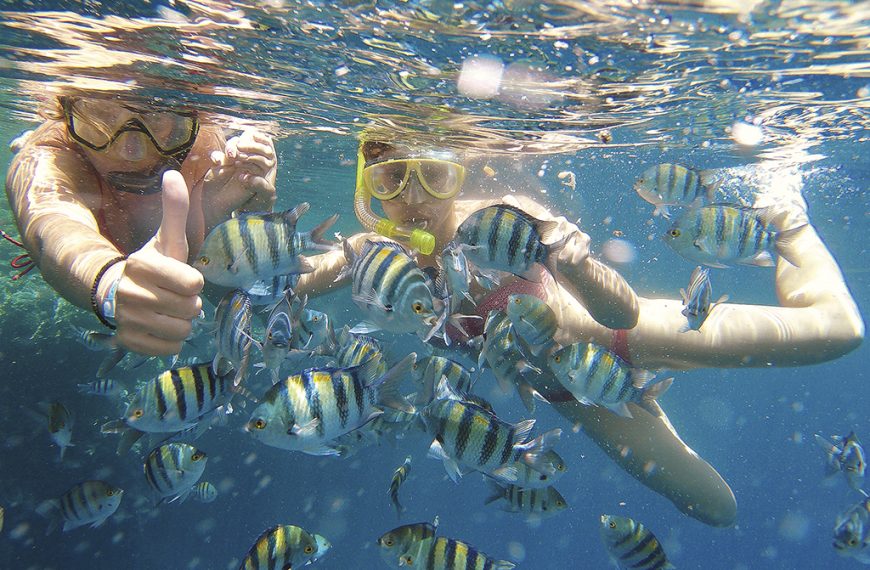Головна 228 Mandry відкриває новий готельний напрямок