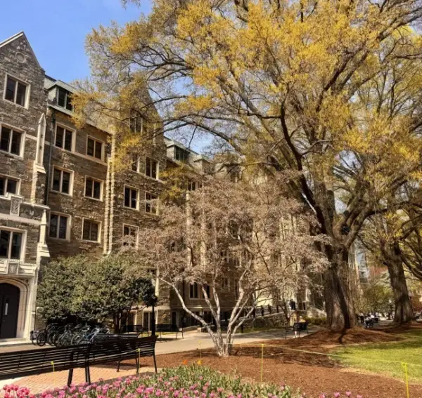 Washington DC: міф і реальність за межами політики 23