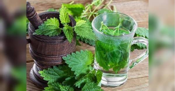 Головна 184 Напій для діабетиків: як доступний напій захистить ваші судини