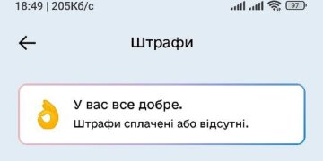 Дія" спростила оплату штрафів за паркування 6 Штрафи за паркування тепер у "Дії": водії можуть перевірити й оплатити онлайн2