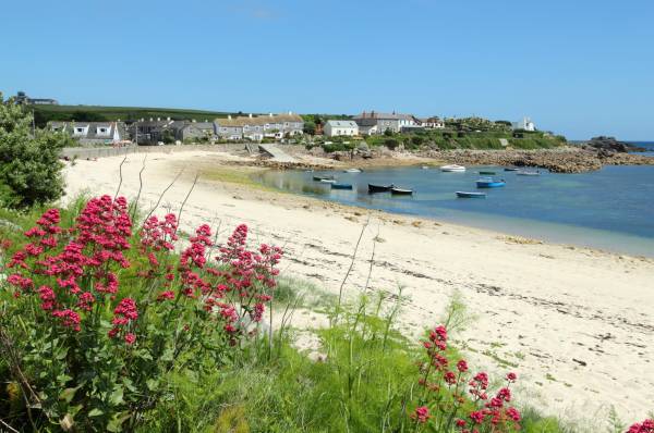 Кембридж став найпривітнішим містом Великої Британії 11 Old town beach red valerian, St. Mary's, Isles of Scilly, Cornwall UK.; Shutterstock ID 61090852; Purchase Order: -