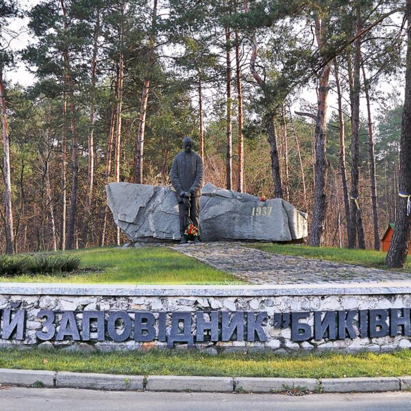 Дерева за мільярди: хто заробив на знищенні українських лісів