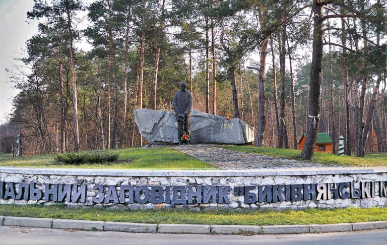Дерева за мільярди: хто заробив на знищенні українських лісів 1