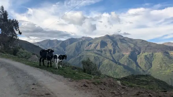 We gave up everything to ‘bikepack’ South America — here's our honest verdict 17