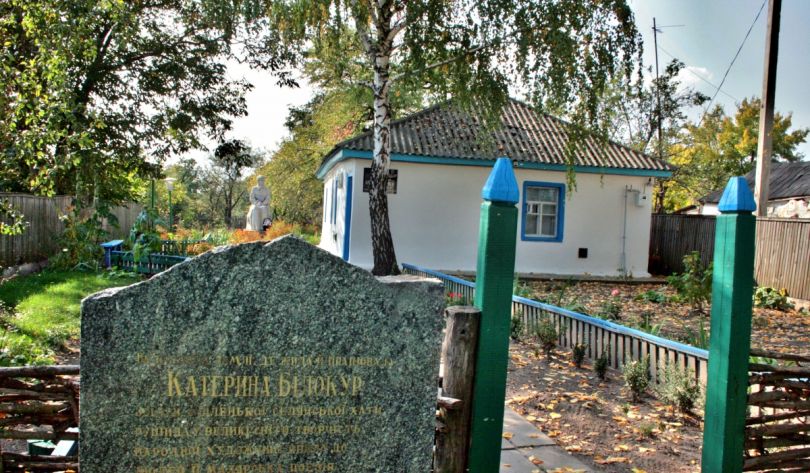 Катерина Білокур: біографія та найвідоміші картини художниці14