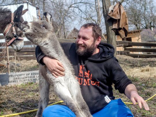 Український стартап продає осляче молоко по тисячі гривень за літр 7