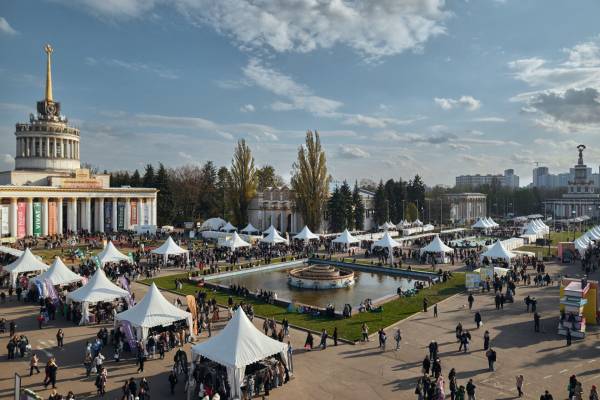 Головна 204 Книжкова країна відклала запуск на невизначений термін