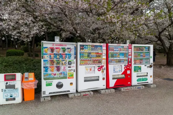 Tokyo, Japan - April 06 2026: Vending machines standing under blooming cherry blossom trees in Odaiba, Tokyo
